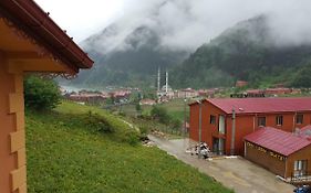 Uzungol Comfort Residence